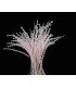 PLUME DIAMOND 28-30 CMS.