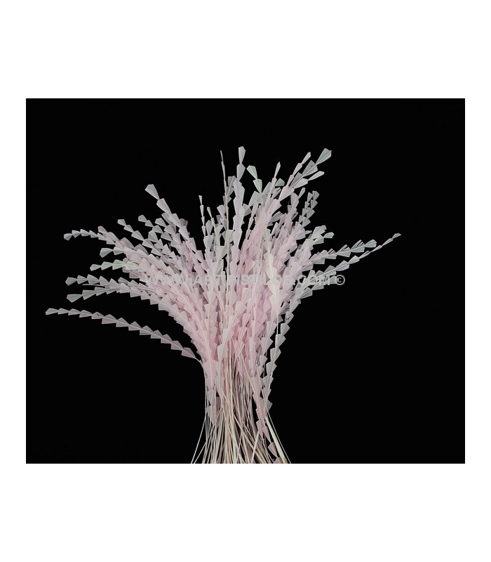 PLUME DIAMOND 28-30 CMS.