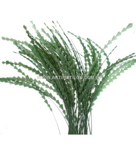 Plume Diamond 28 - 30 cm