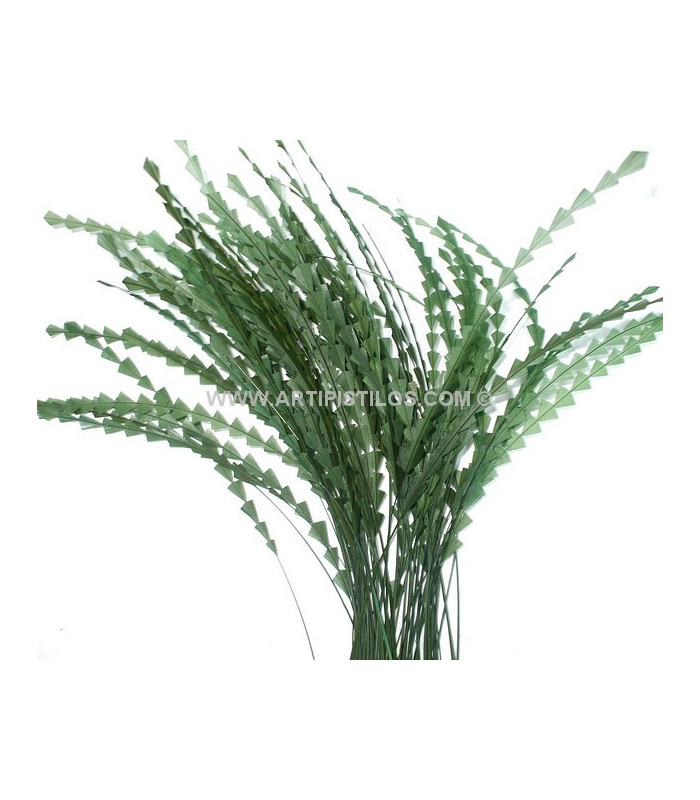 PLUME DIAMOND 28-30 CMS.