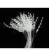 ANTENNE DE COQ DIAMOND 30 CMS.