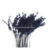ANTENNE DE COQ DIAMOND 30 CMS.