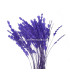 ANTENNE DE COQ DIAMOND 30 CMS.