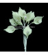 FLEUR PORCELAINE "CALA" AVEC RHINESTONE