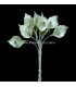 FLEUR PORCELAINE "CALA" AVEC RHINESTONE