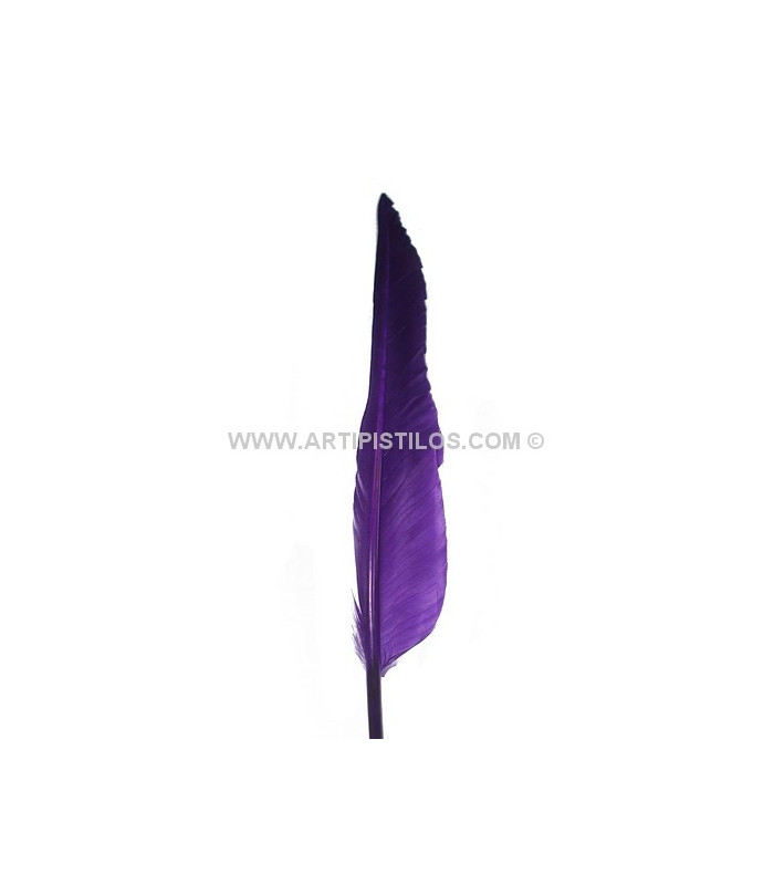 PLUME D´OIE 25 CMS.