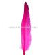 PLUME D´OIE 25 CMS.
