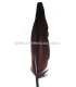 PLUME D´OIE 25 CMS.