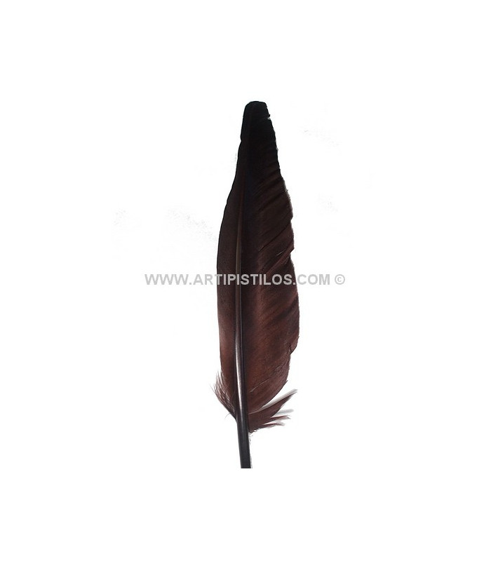 PLUME D´OIE 25 CMS.