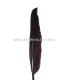 PLUME D´OIE 25 CMS.