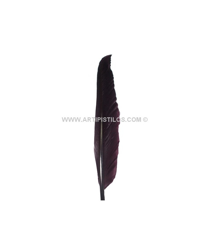 PLUME D´OIE 25 CMS.