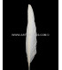 PLUME D´OIE 25 CMS.