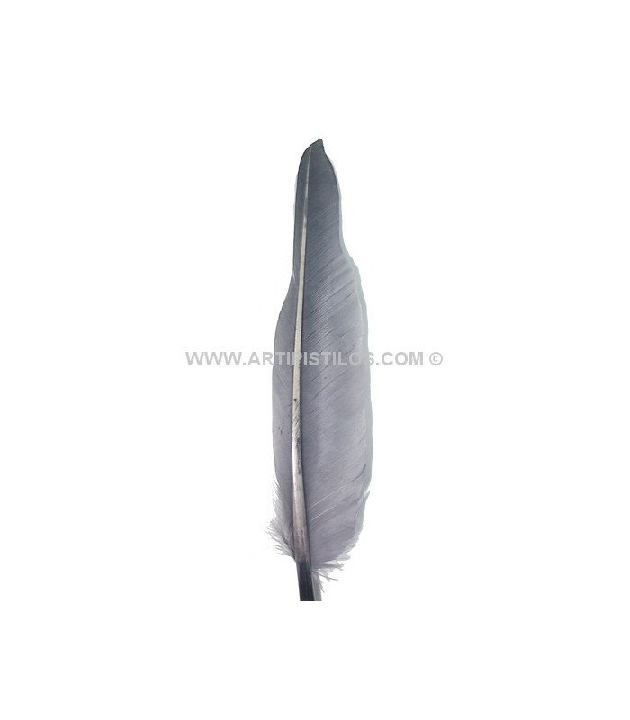 PLUME D´OIE 25 CMS.