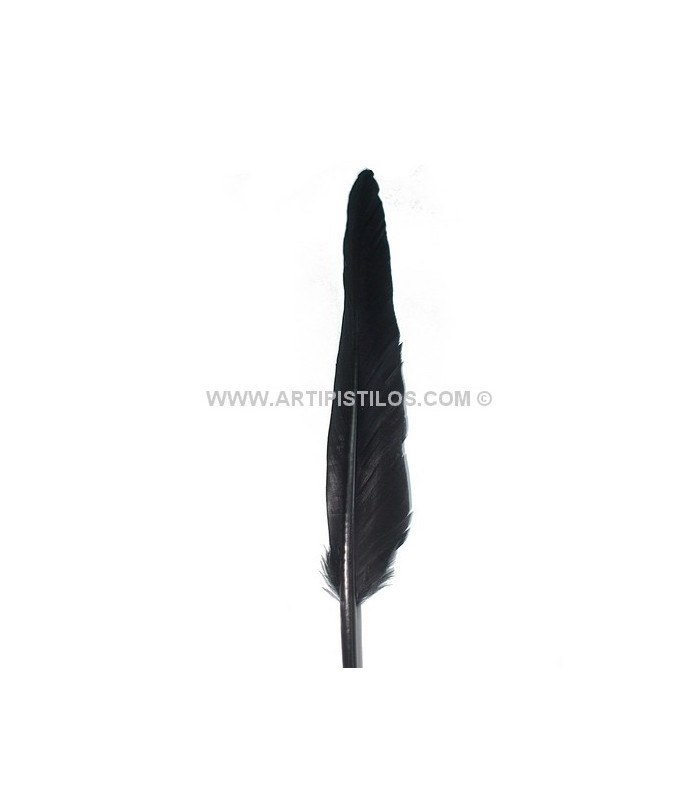 PLUME D´OIE 25 CMS.
