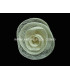 FLEUR EN SINAMAY MOYENNE 10 CMS.