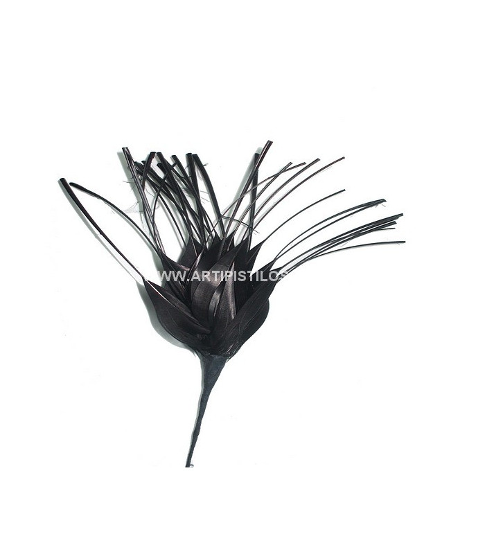 FLEUR DE PLUMES