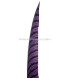 PLUME DE FAISAN LADY AMHERST 80-90 CMS.