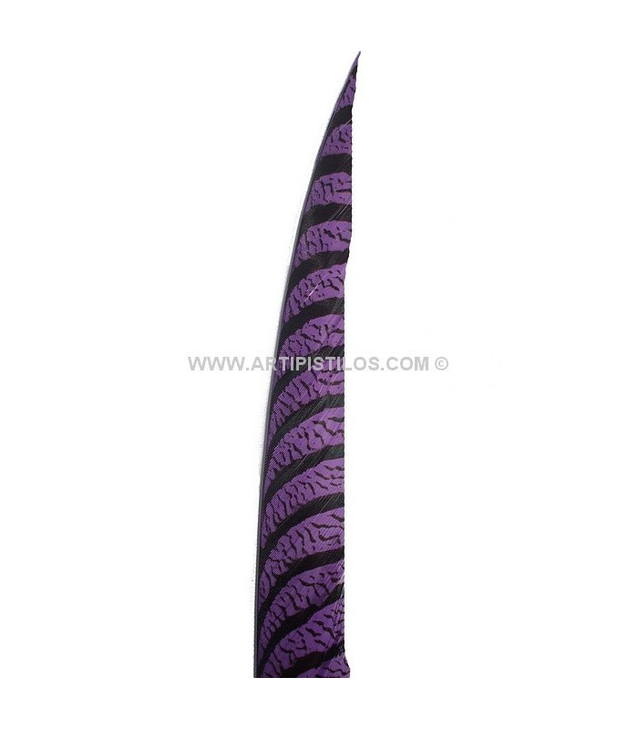 PLUME DE FAISAN LADY AMHERST 80-90 CMS.