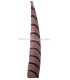PLUME DE FAISAN LADY AMHERST 80-90 CMS.