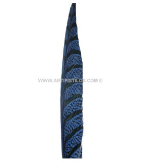 Plume de faisan Lady Amherst 80 - 90 cm
