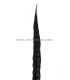 PLUME DE FAISAIN LADY AMHERST 40-45 CMS.