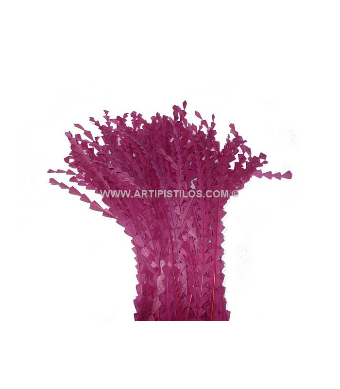 PLUME DIAMANT DÉCOUPÉE 25 CMS.