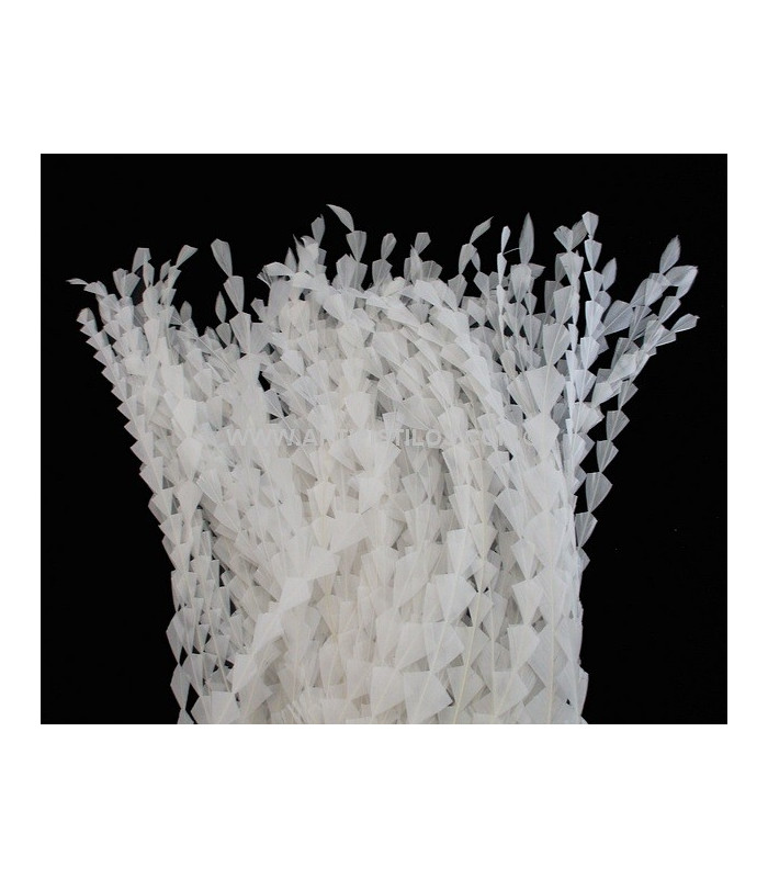 PLUME DIAMANT DÉCOUPÉE 25 CMS.