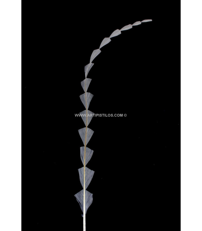 PLUME DIAMANT DÉCOUPÉE 25 CMS.