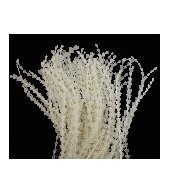 PLUME DIAMANT DÉCOUPÉE 25 CMS.