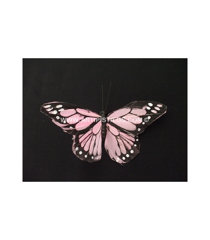 PAPILLON EN PLUMES