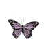 PAPILLON EN PLUMES