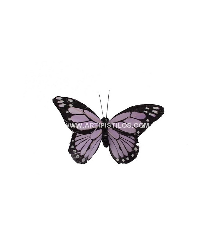 PAPILLON EN PLUMES