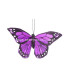 PAPILLON EN PLUMES