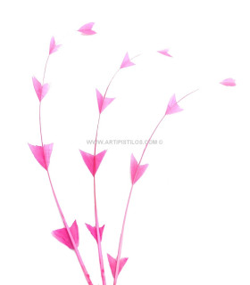 PLUME DE COQ DIAMANT 25 CMS.