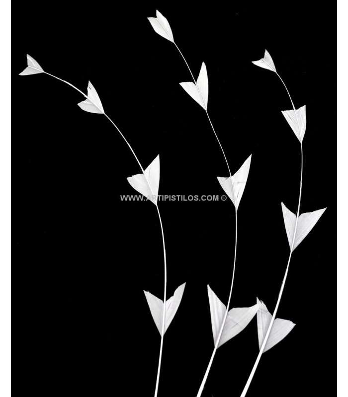 PLUME DE COQ DIAMANT 25 CMS.