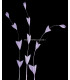 PLUME DE COQ DIAMANT 25 CMS.