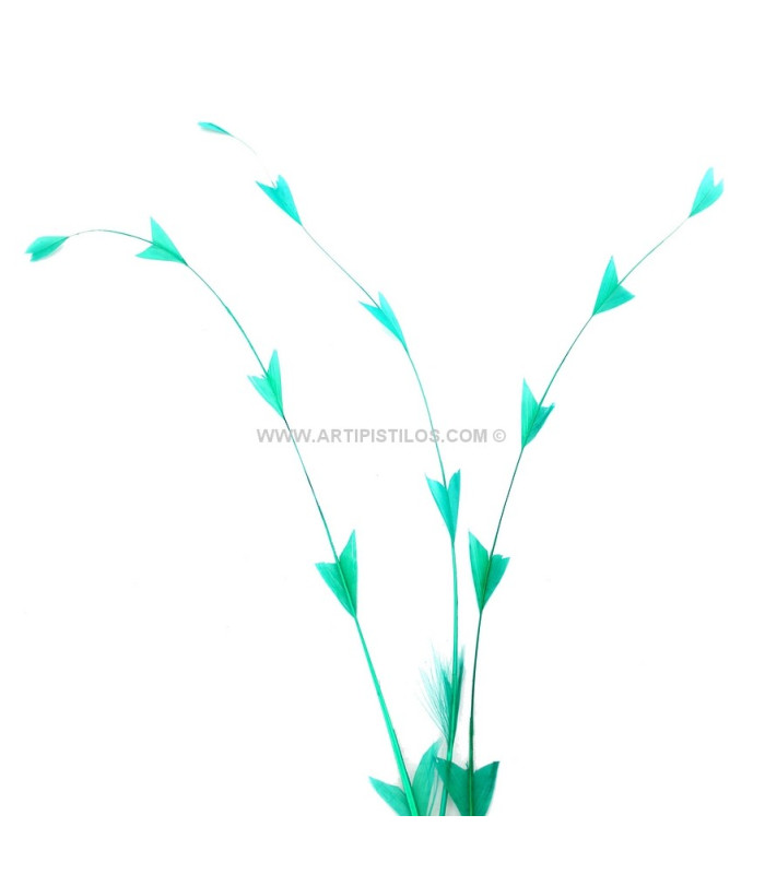 PLUME DE COQ DIAMANT 25 CMS.