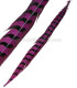 PLUME DE FAISAN REEVES 55 - 60 CMS.