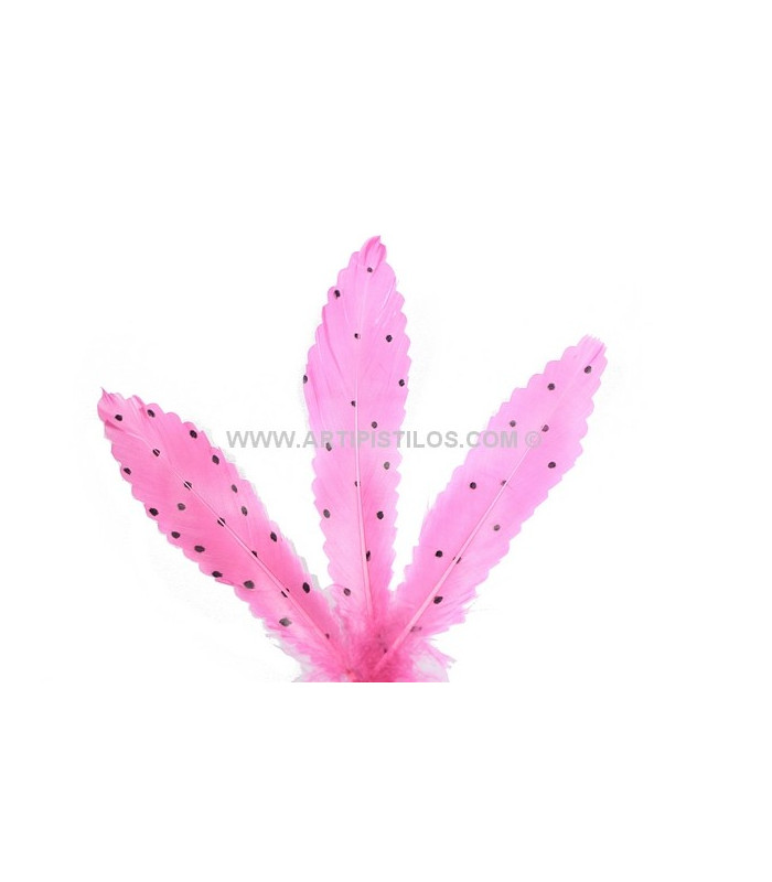 PLUME DECOUPÉE À POIS 15 CMS.
