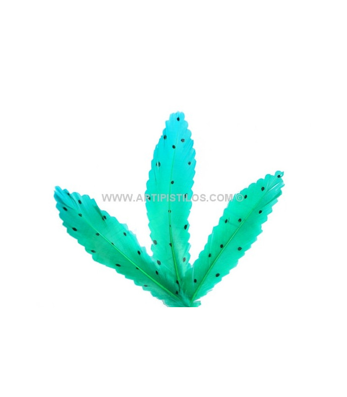 PLUME DECOUPÉE À POIS 15 CMS.