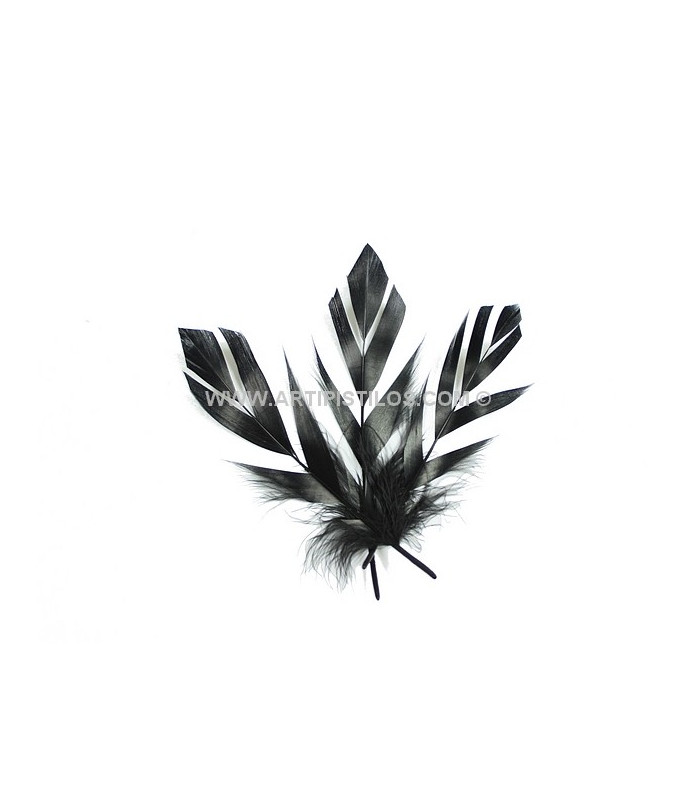 PLUME DECOUPÉE "FLANDES" 15 CMS.