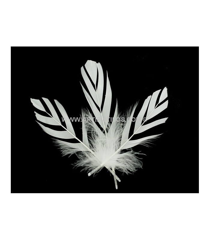 PLUME DECOUPÉE "FLANDES" 15 CMS.