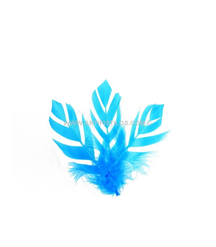 PLUME DECOUPÉE "FLANDES" 15 CMS.
