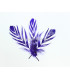 PLUME DECOUPÉE "FLANDES" 15 CMS.