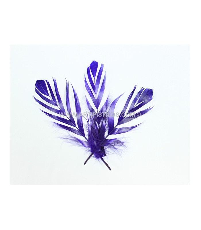 PLUME DECOUPÉE "FLANDES" 15 CMS.
