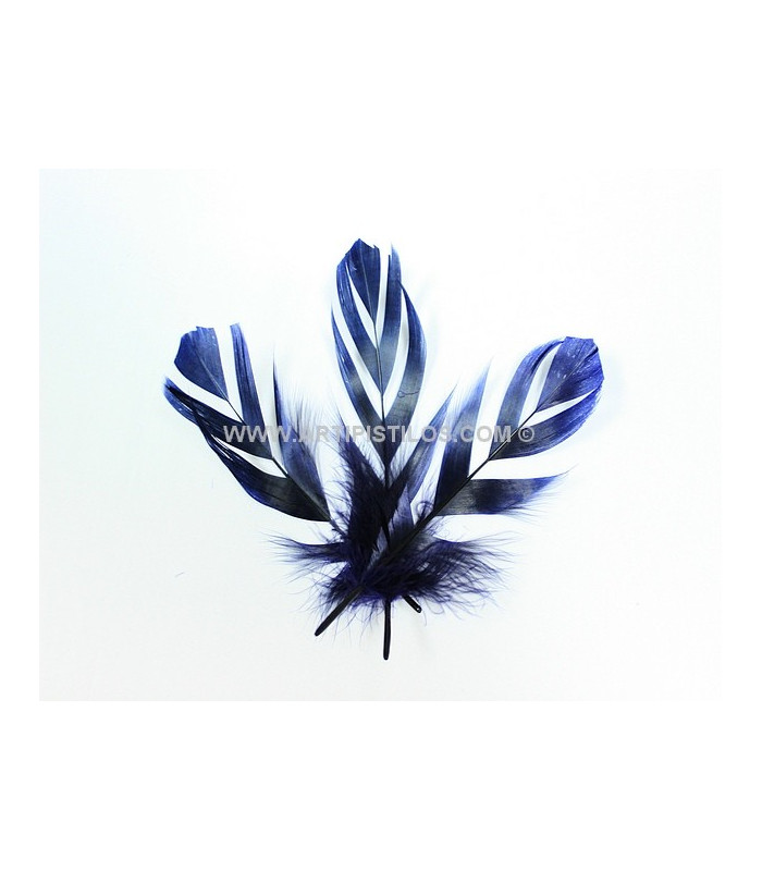 PLUME DECOUPÉE "FLANDES" 15 CMS.