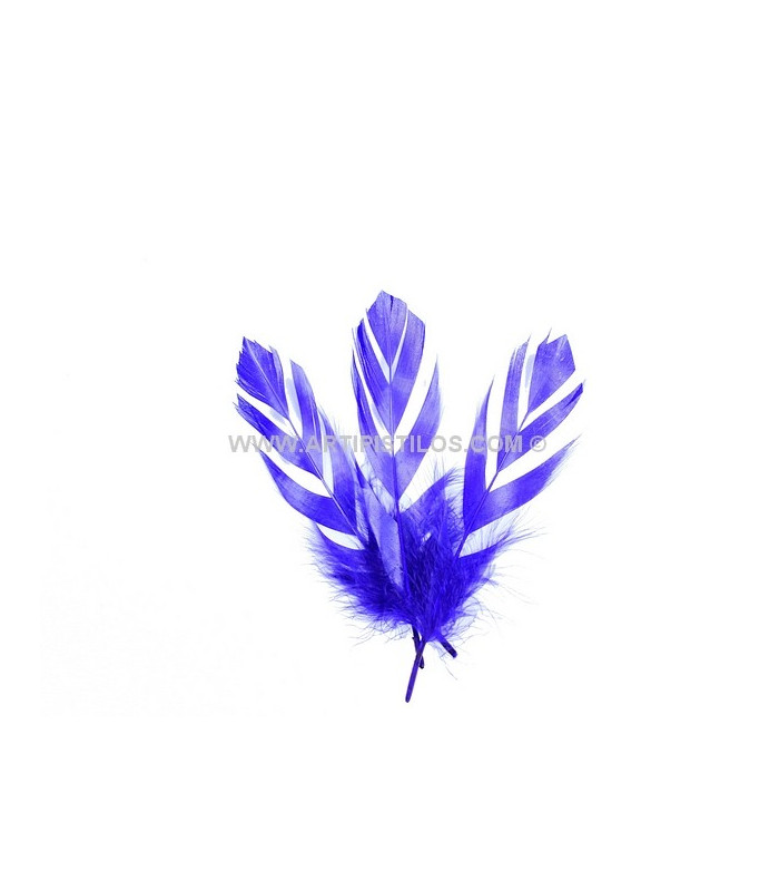 PLUME DECOUPÉE "FLANDES" 15 CMS.