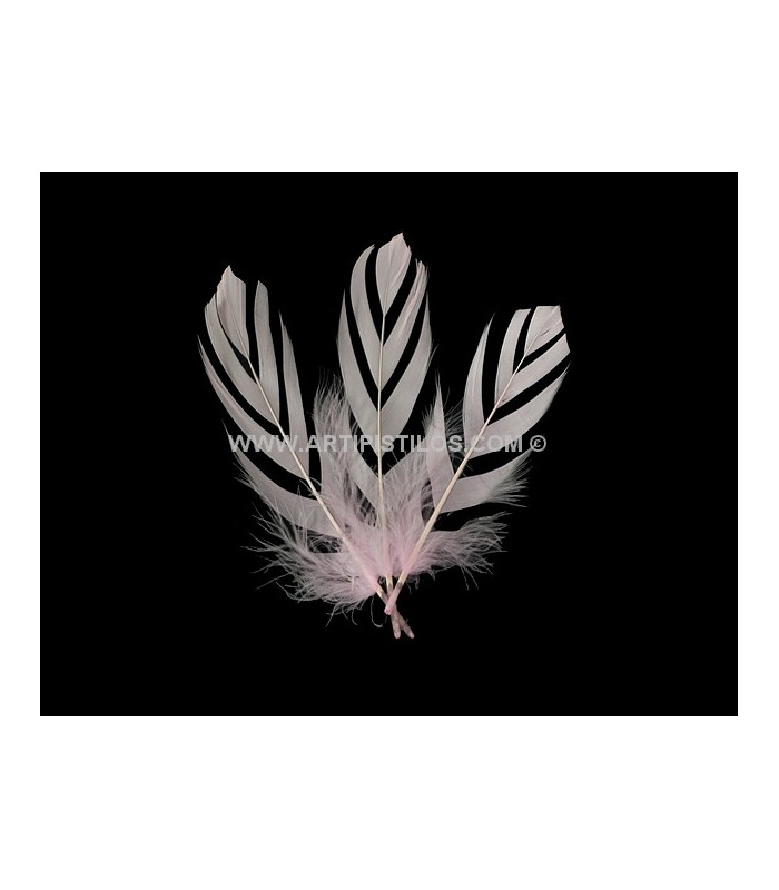PLUME DECOUPÉE "FLANDES" 15 CMS.
