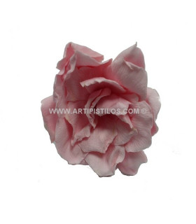 GARDÉNIA PRÉSERVÉE 6 CMS. DIAMÈTRE