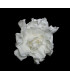 GARDÉNIA PRÉSERVÉE 6 CMS. DIAMÈTRE